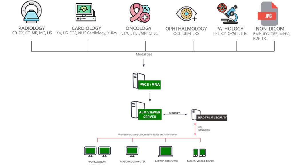 ALM Viewer Cloud Model Flow Chart