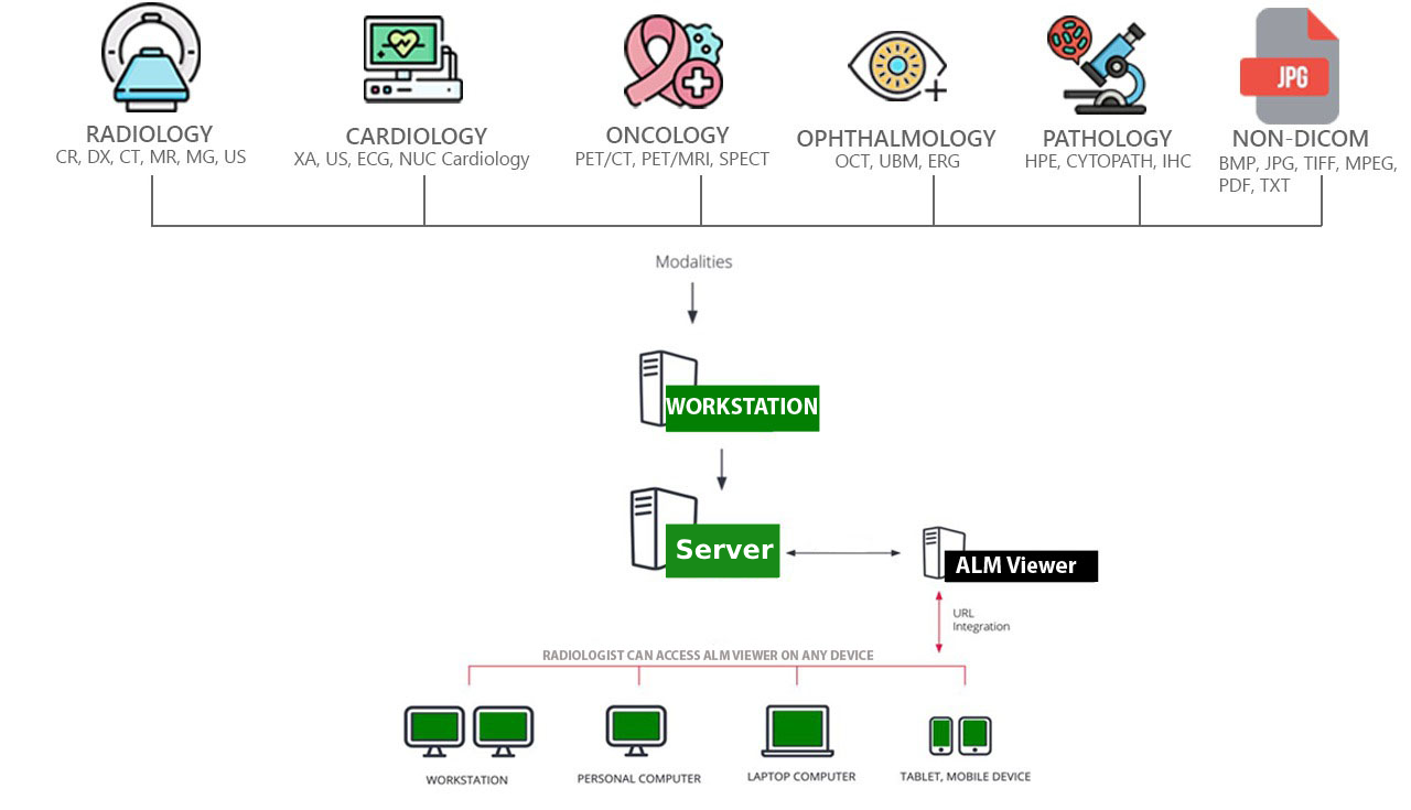 ALM DICOM Viewer Hybrid Model