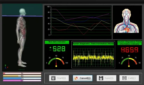 ALM DICOM Viewer Hybrid Model for working