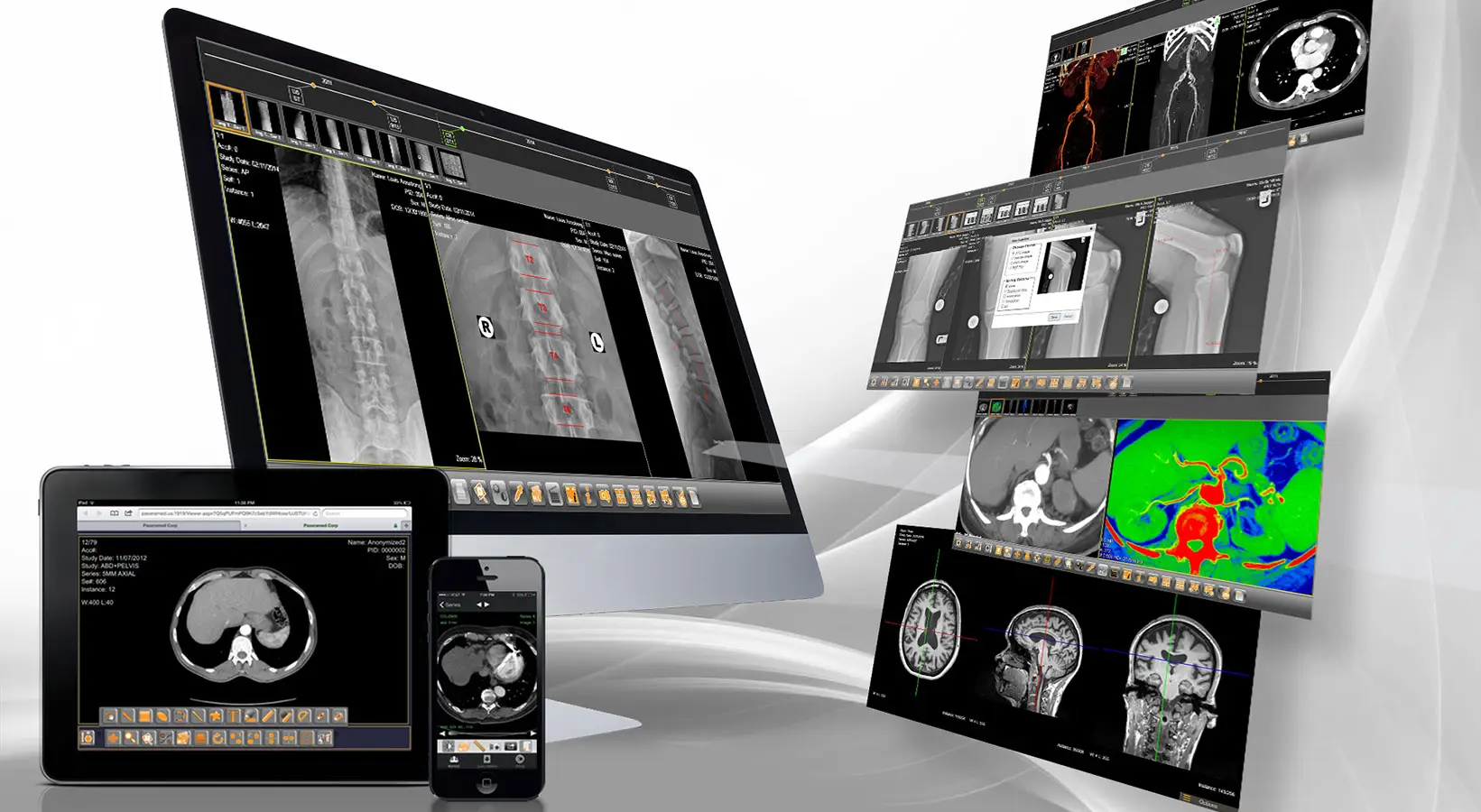 ALM DICOM Viewer Tools Methods and Uses