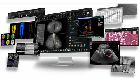 ALM DICOM Hybrid Model Features